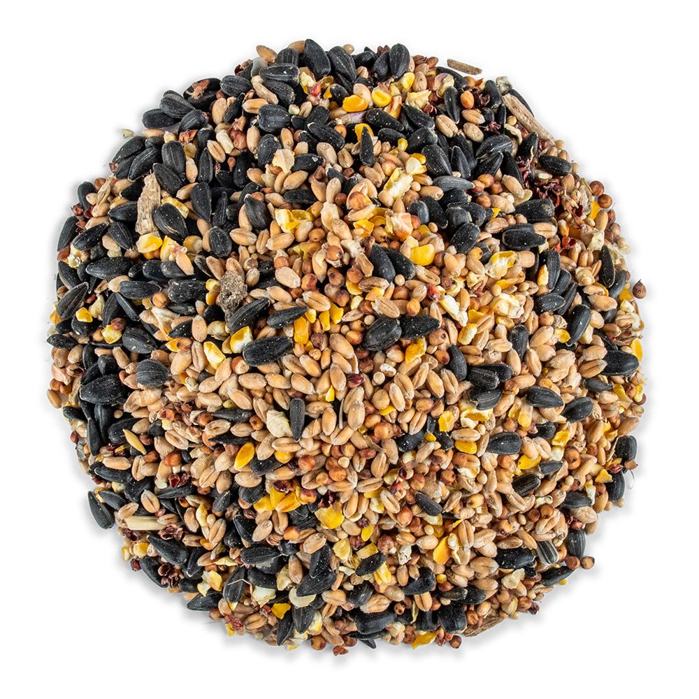 Gifts4Nature - 5 kg Streufutter für Gartenvögel - Hergestellt in Europa - 10,91 % Protein - Wildvogelfutter | Gifts4Nature