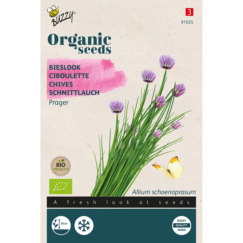 Buzzy® Organic Schnittlauch Prager (BIO) | Buzzy Bio Organic