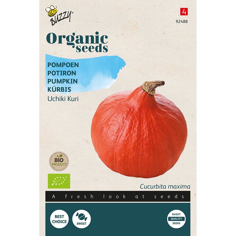 Buzzy® Organic Kürbis Uchiki Kuri (BIO) | Buzzy Bio Organic