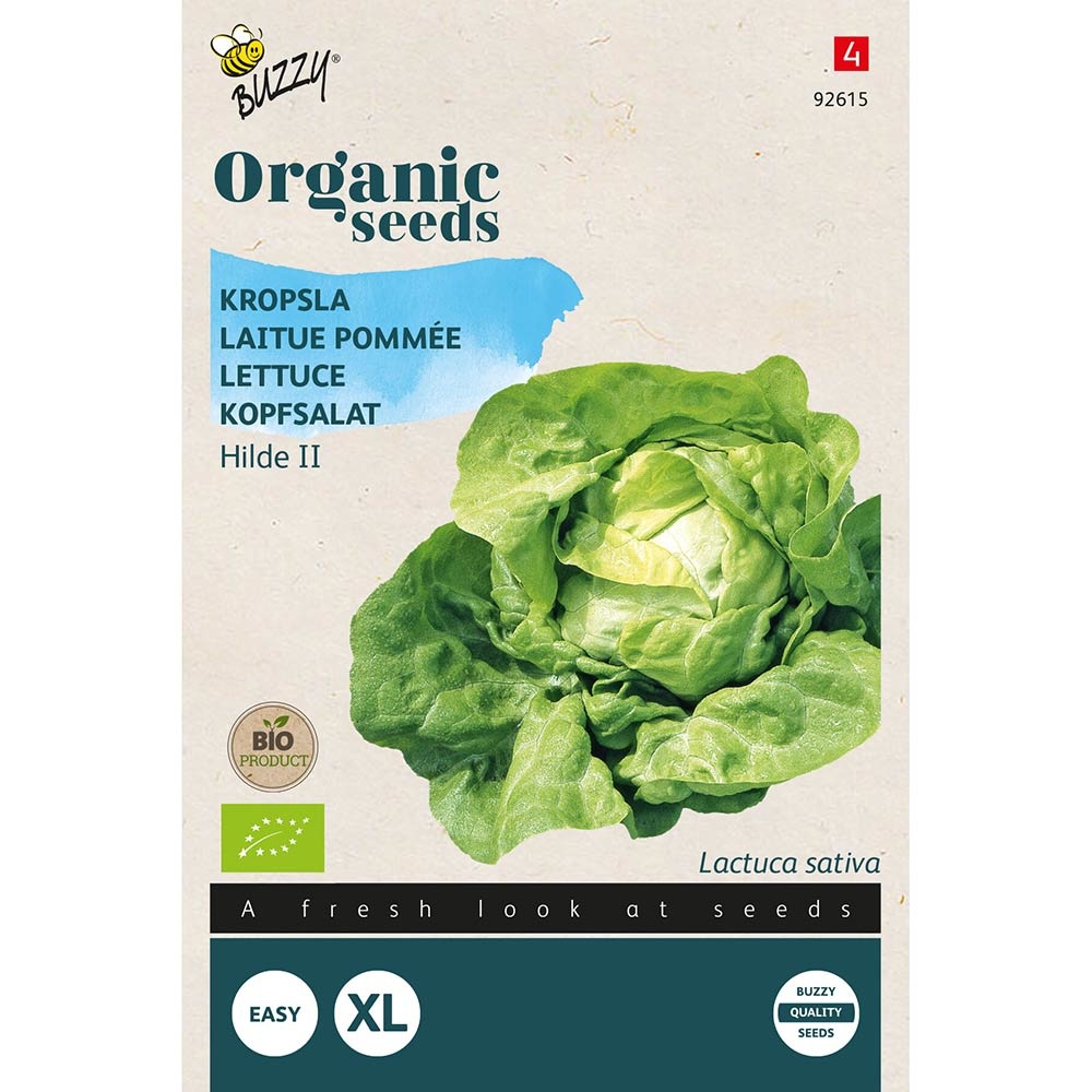 Buzzy® Organic Kopfsalat Hilde II (BIO) | Buzzy Bio Organic