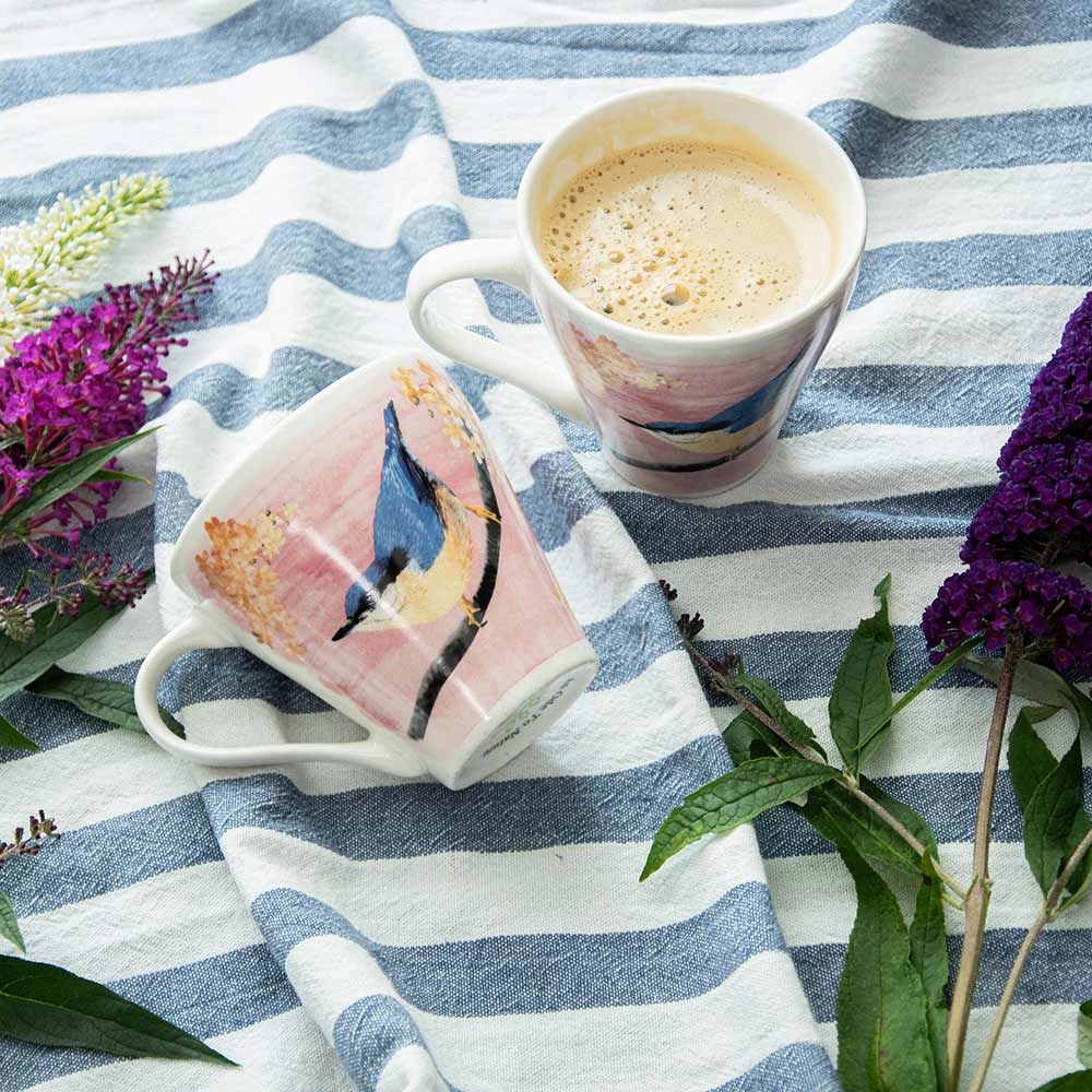 Tasse Kleiber (Myrte) | CJ Wildlife