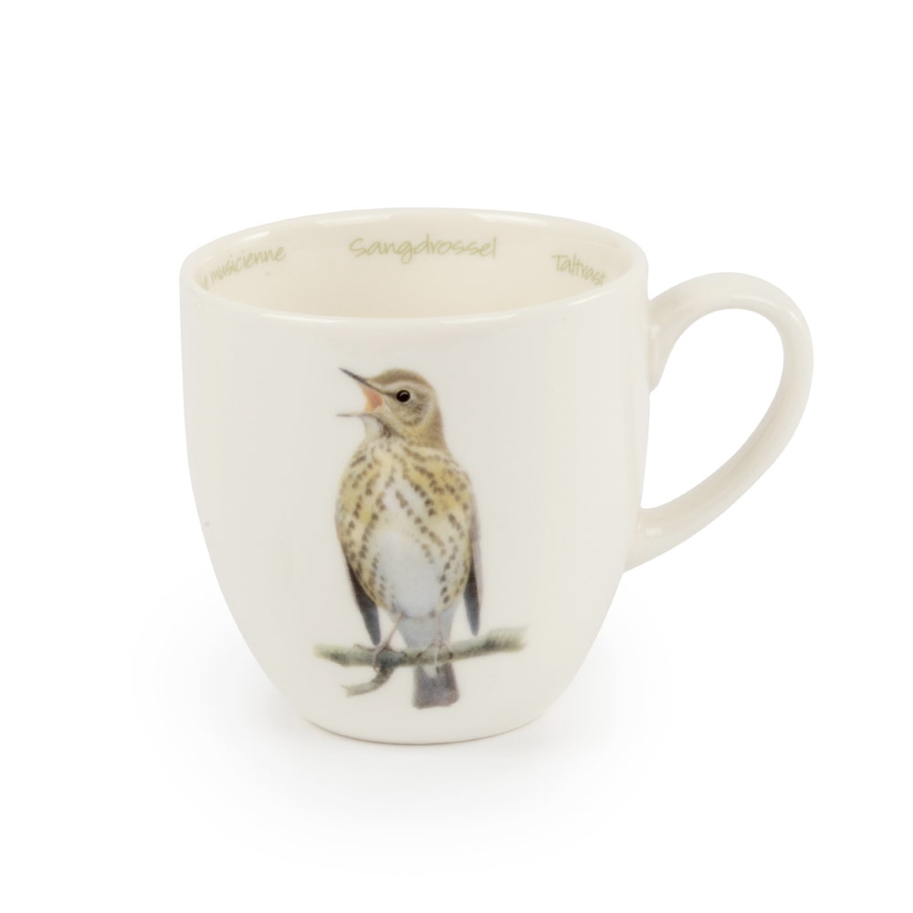 Tasse Singdrossel (Elwin van der Kolk) | CJ Wildlife