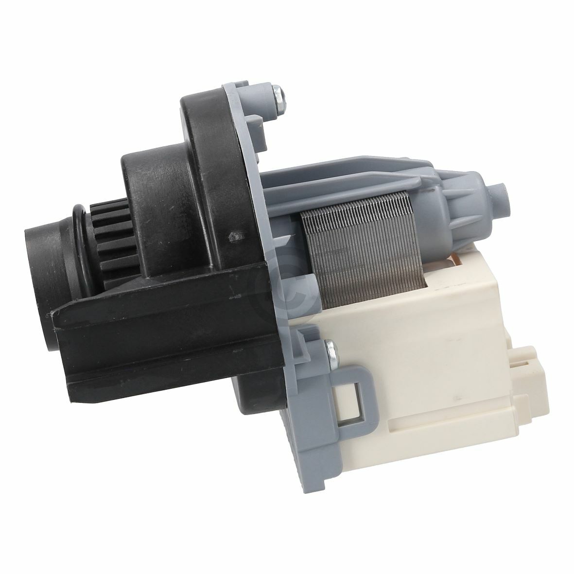 Ablaufpumpe ZANUSSI 1240180065 Askoll mit Pumpenkopf f?r Waschmaschine Waschtrockner (EA-1240180065)