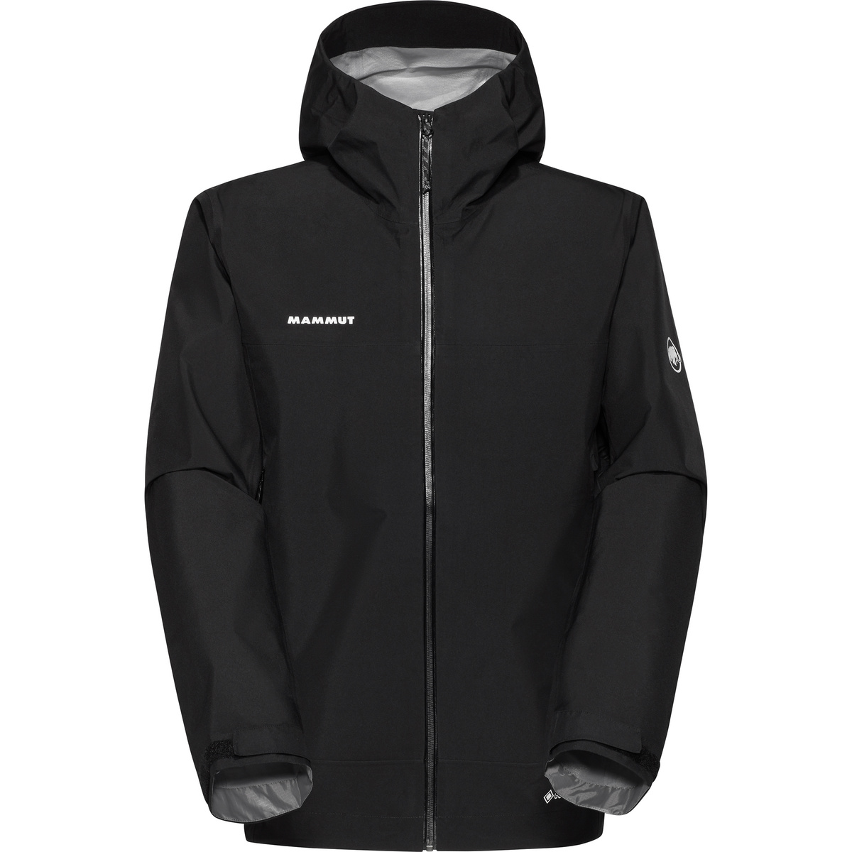 Mammut Herren Crater Light HS Jacke