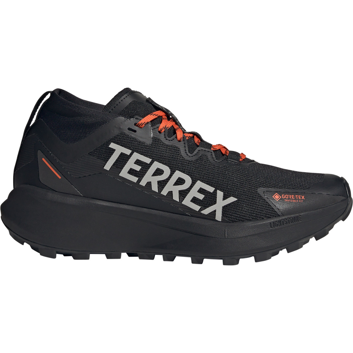 adidas Terrex Herren Agravic GTX Schuhe
