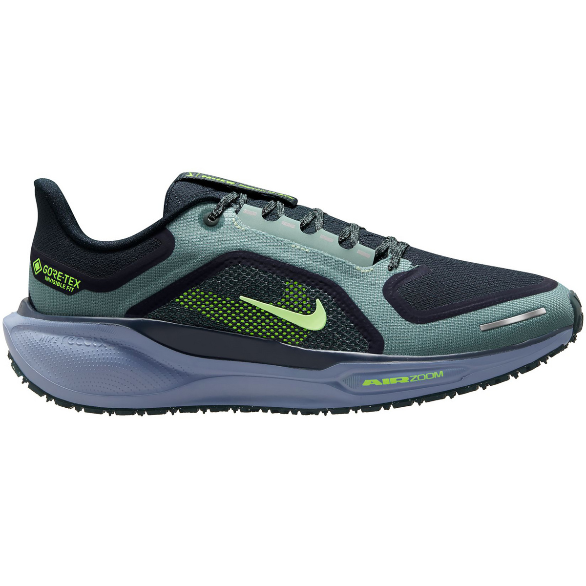 Nike Herren Pegasus 41 GTX Schuhe