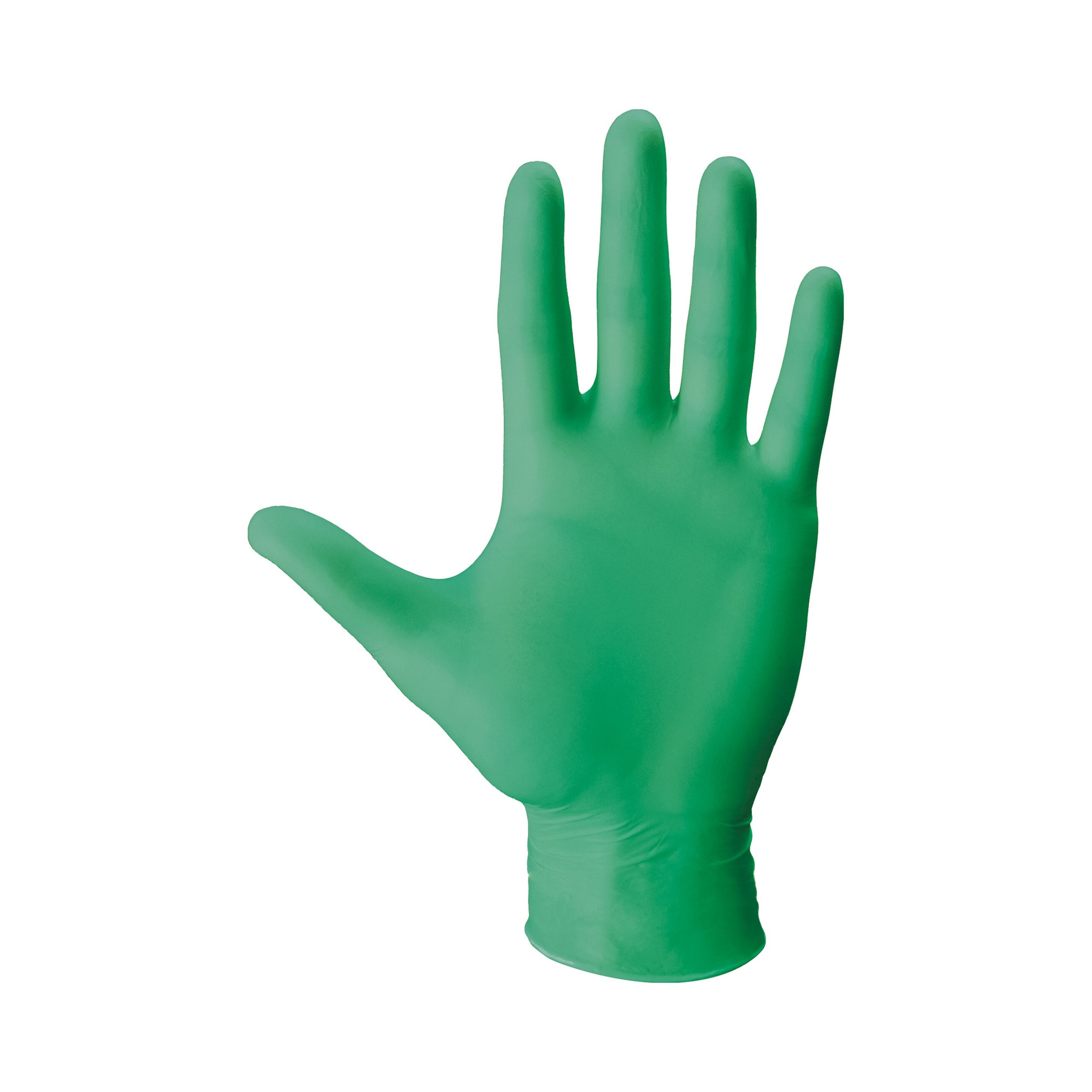 Aloe Vera Einmalhandschuhe, 100 Stück, Größe: L