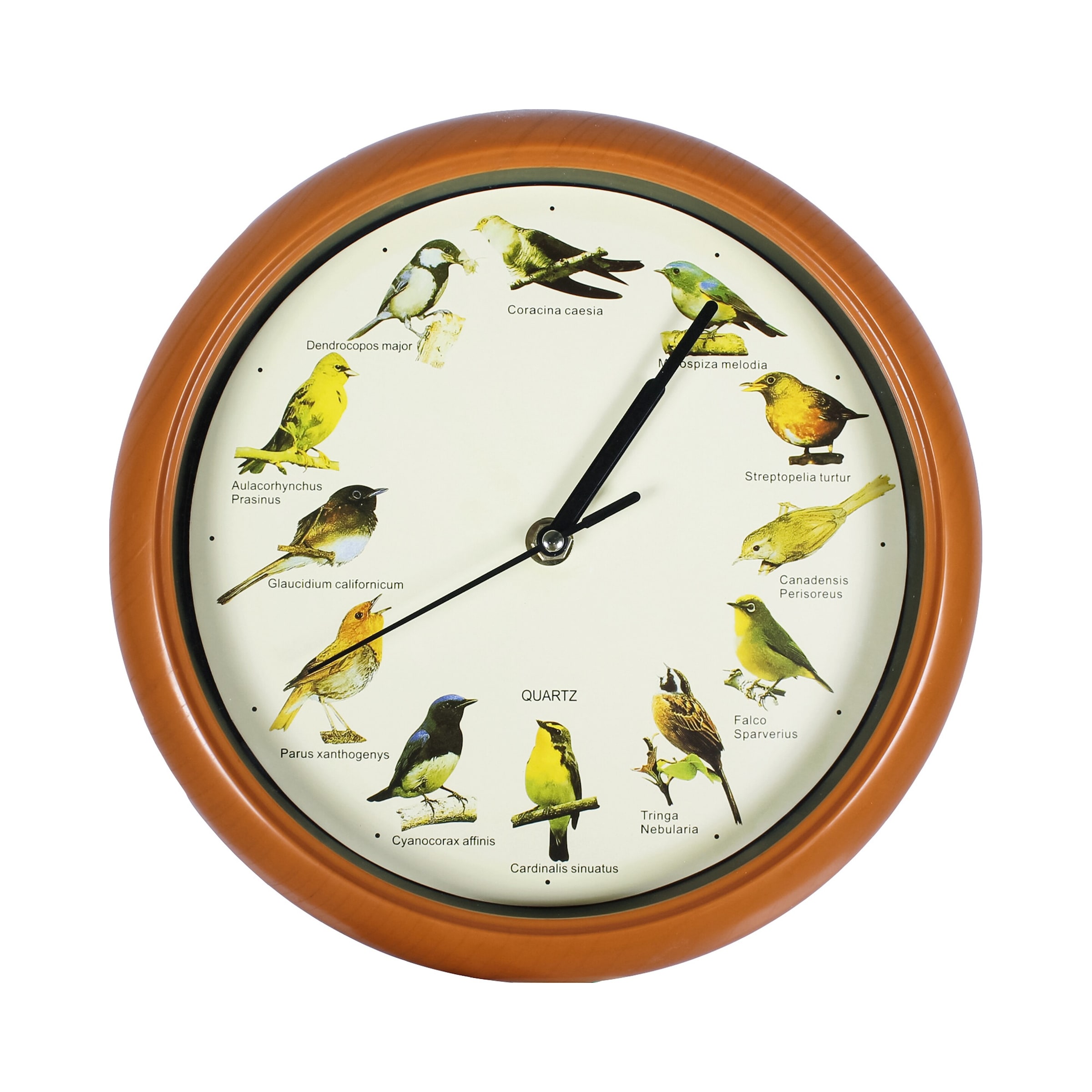Wanduhr 'Vogelgesänge'
