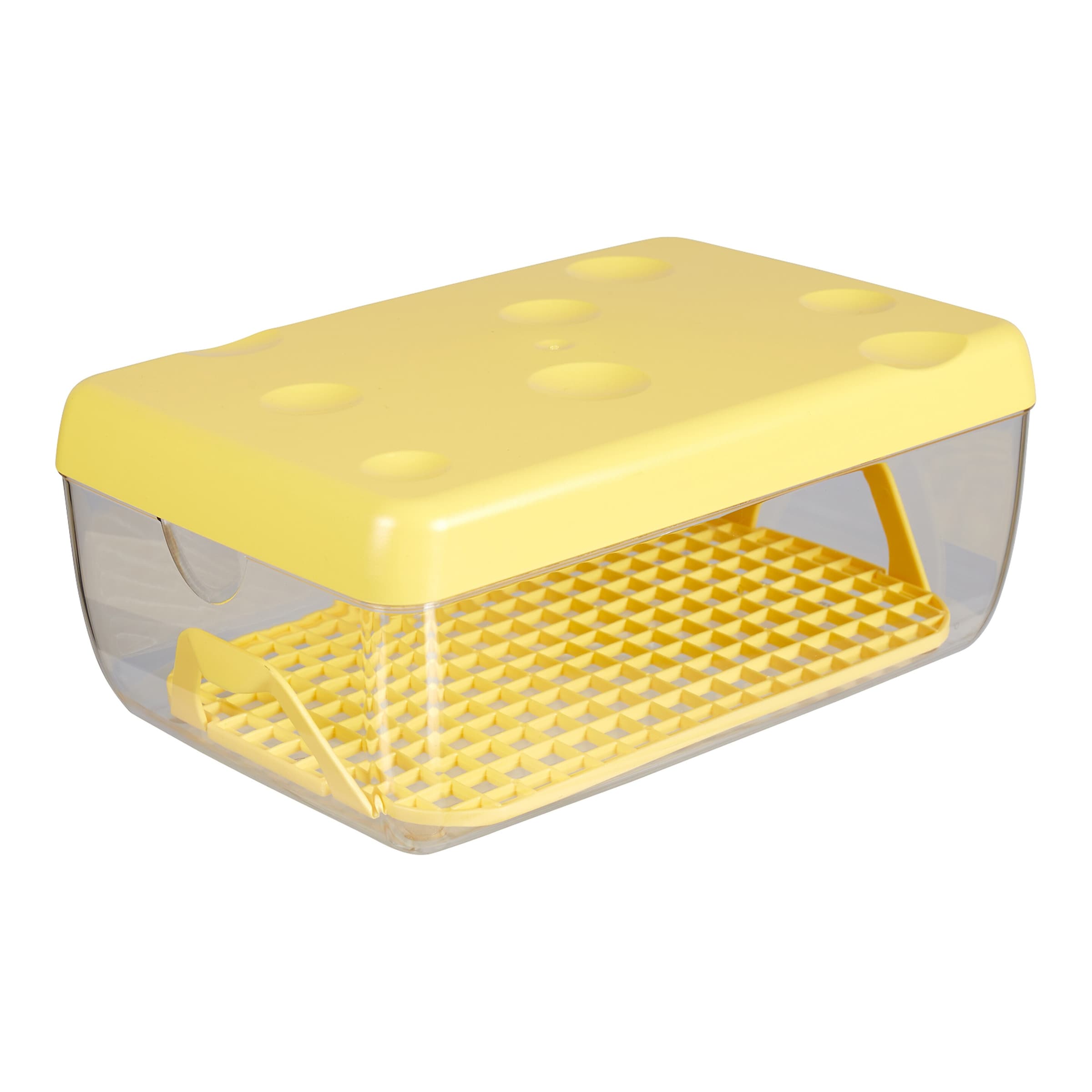 Käse-Frischhaltedose