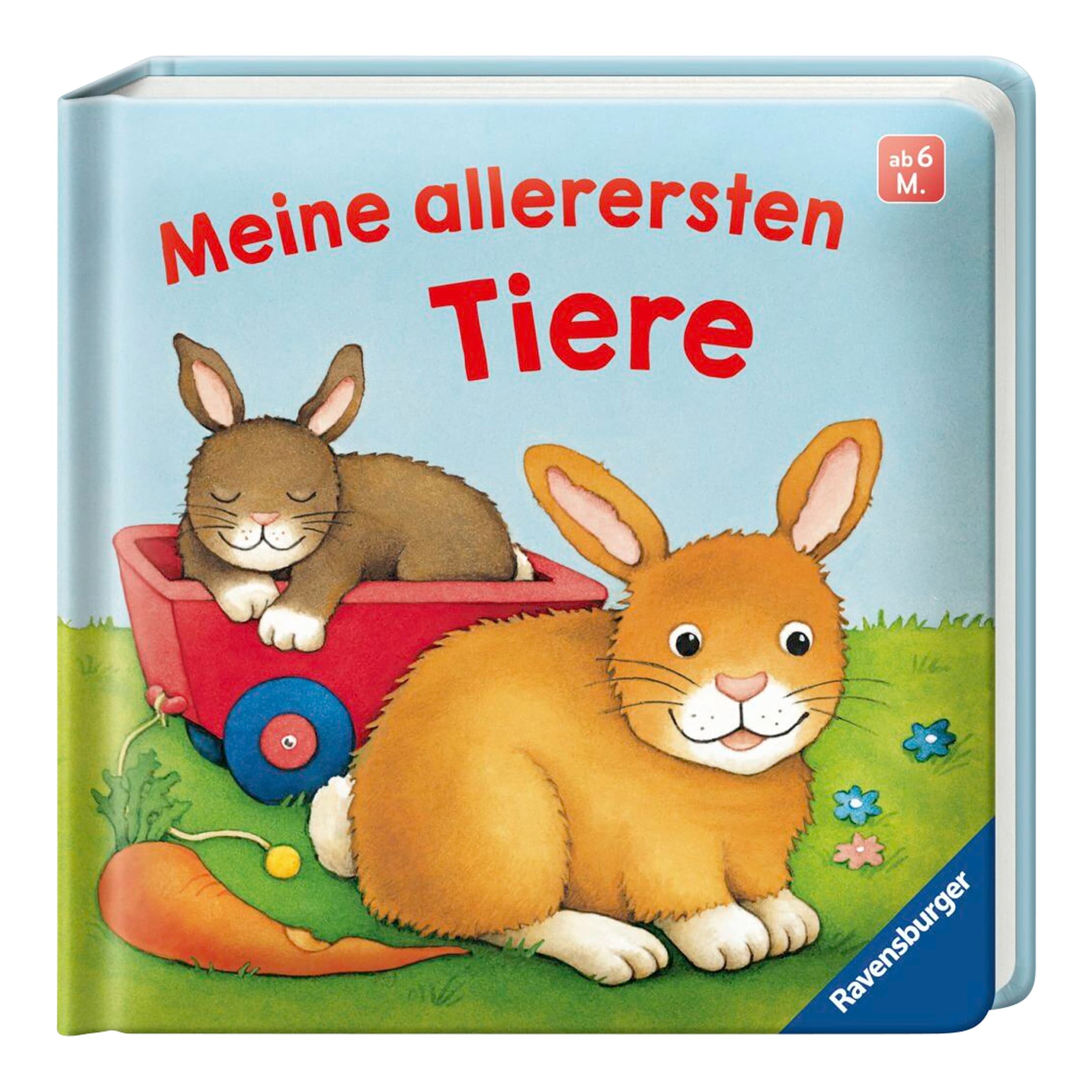 Pappbilderbuch Meine allerersten Tiere