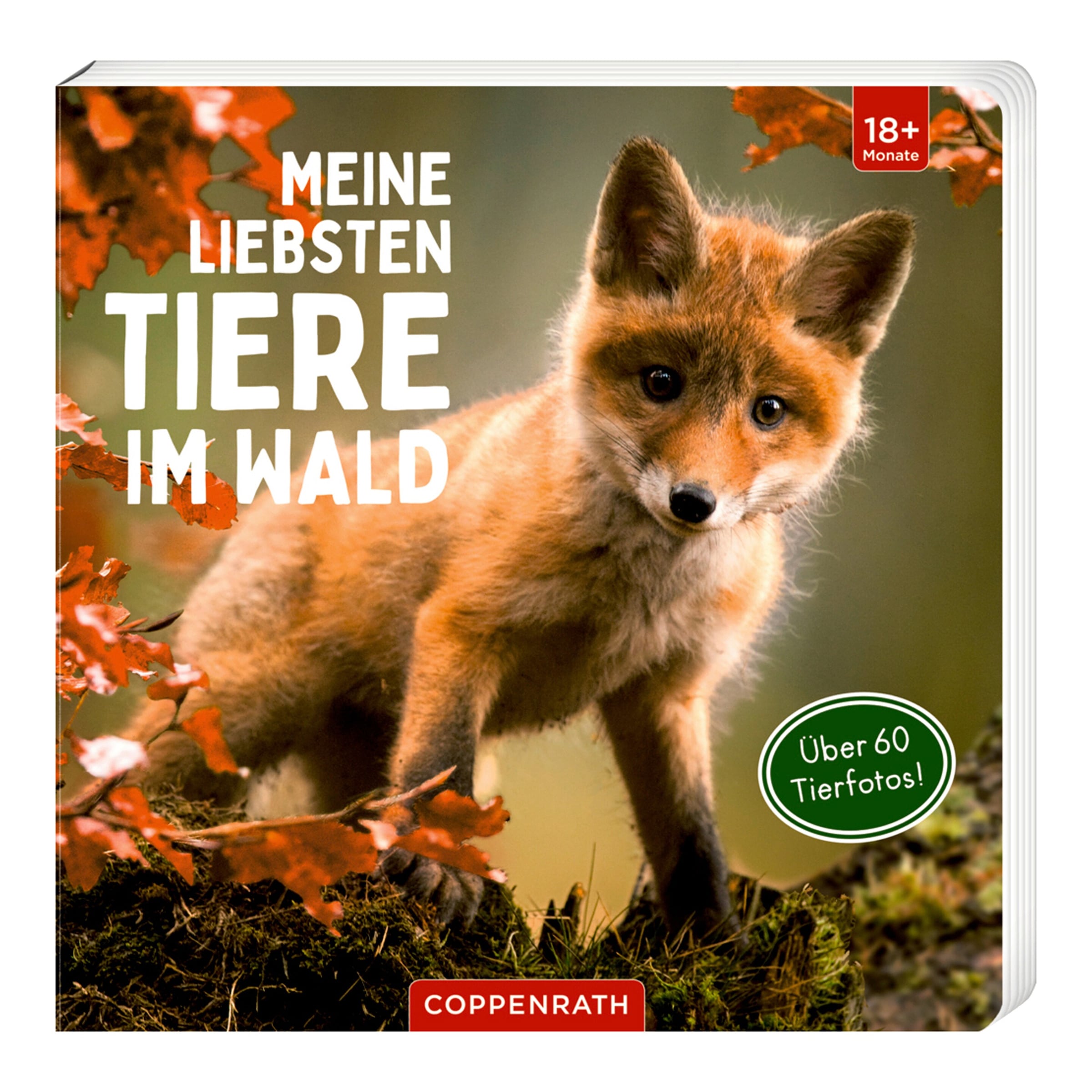 Pappbilderbuch Meine liebsten Tiere im Wald