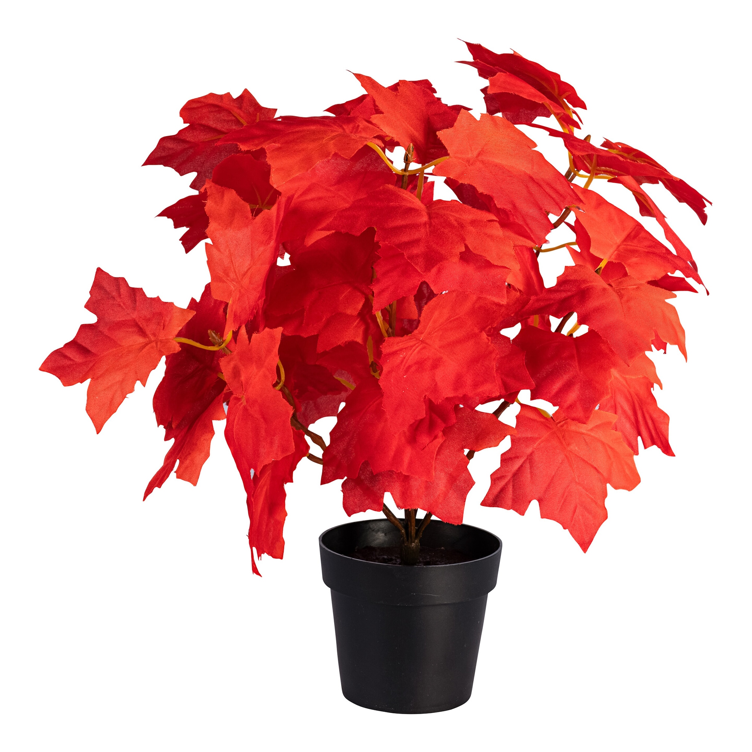 Deko-Ahornbäumchen, rot