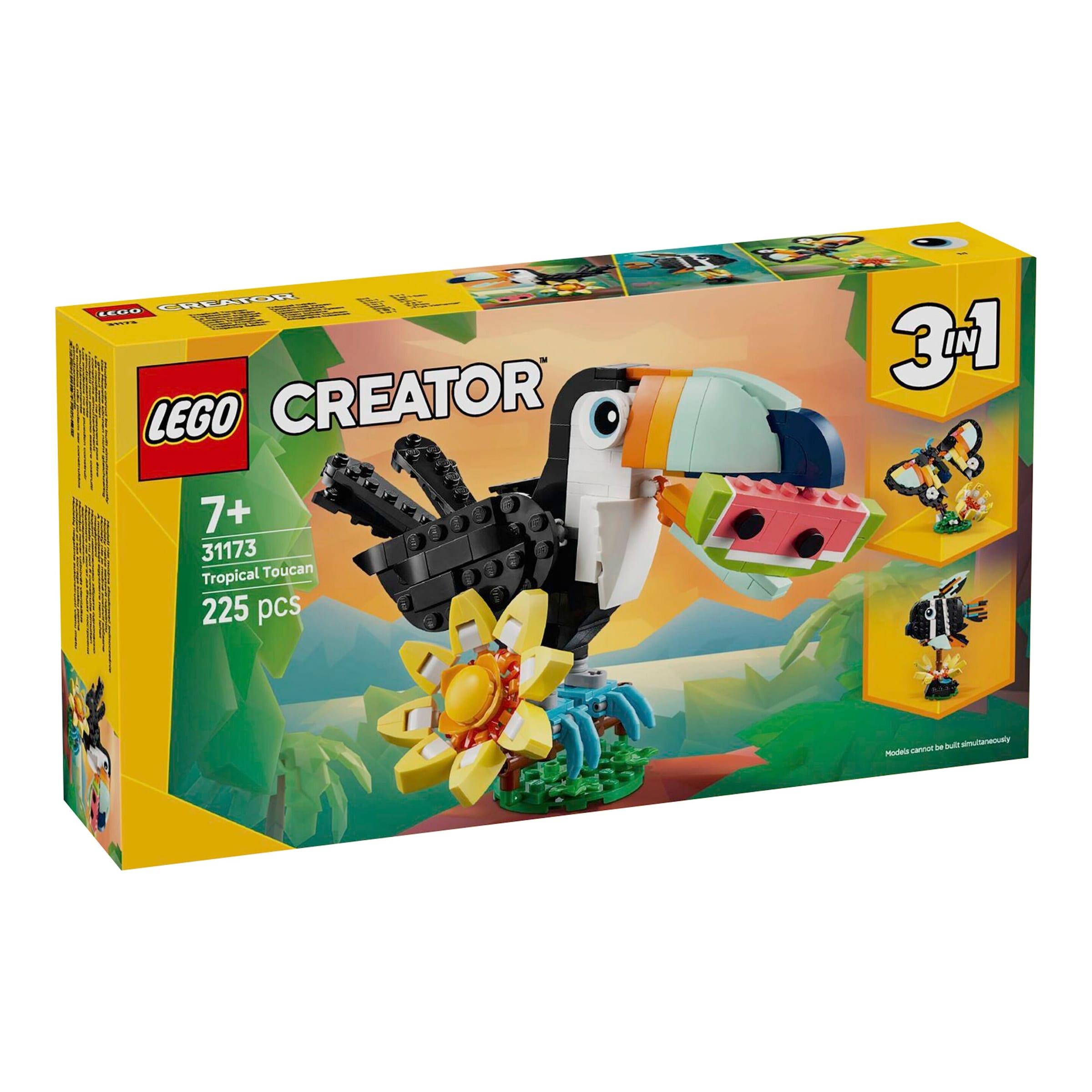 31173 Wilde Tiere: Tropischer Tukan