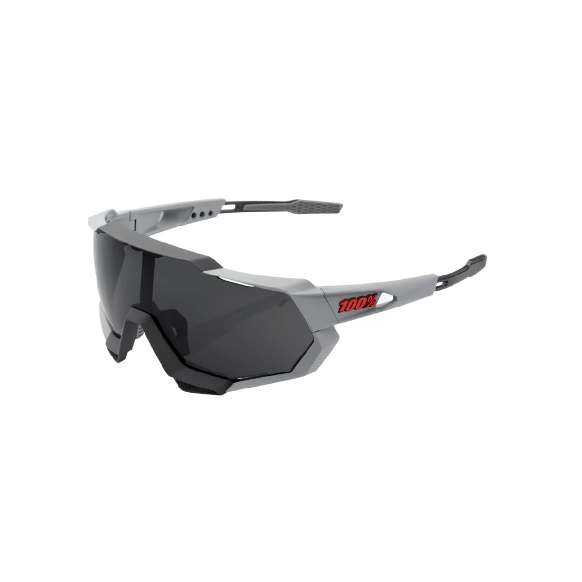 Brille 100% Speedtrap Grey - Rauchgläser