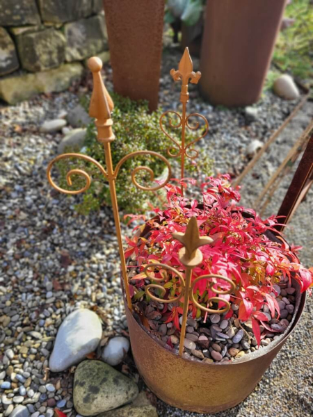 Edelrost 3er Set Rankstäbe für Blumenkübel, 60 cm