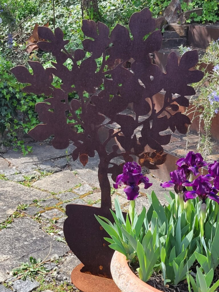 Edelrost Feigenbaum im Topf auf Platte