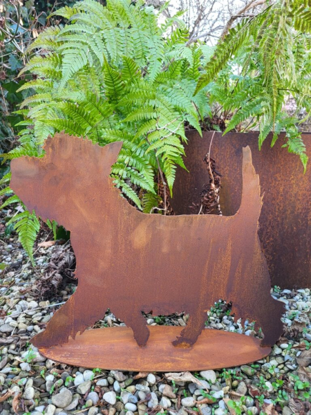 Edelrost Hund Westie, Berti