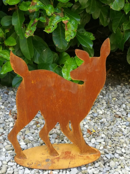 Edelrost Kitz Antje, nach hinten schauend