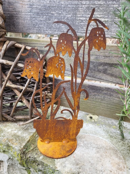 Edelrost Schachbrettblume im Topf, niedrig