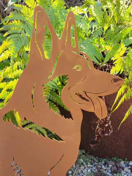 Edelrost Schäferhund Max