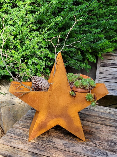 Edelrost 3D Stern zum Bepflanzen