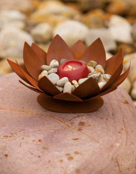 Edelrost Seerose, 3 Größen