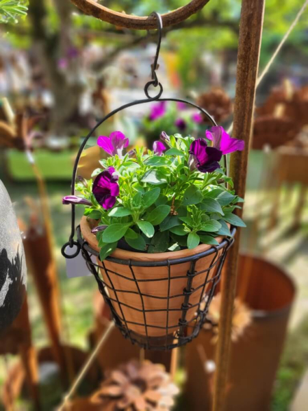 Pflanzkorb Gitter inkl. Topf