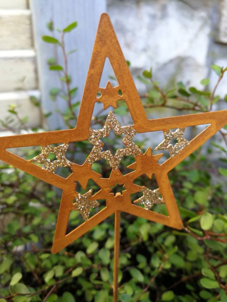 Topfstecker Stern Jak, Rost-Goldglitzer