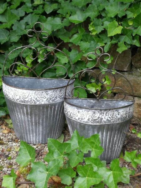 Zink Wandeimer Augusto