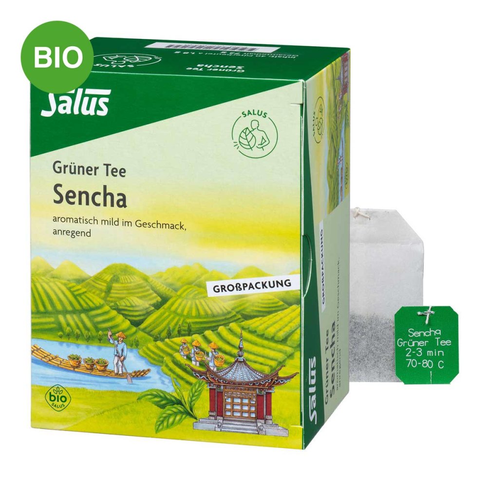 Grüner Tee bio Salus Filterbeutel Grosspackung