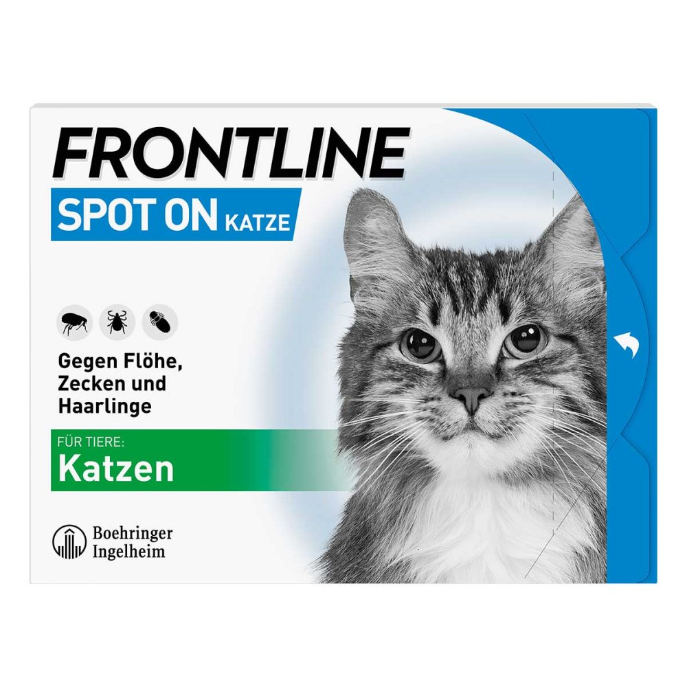 FRONTLINE SPOT ON Katze