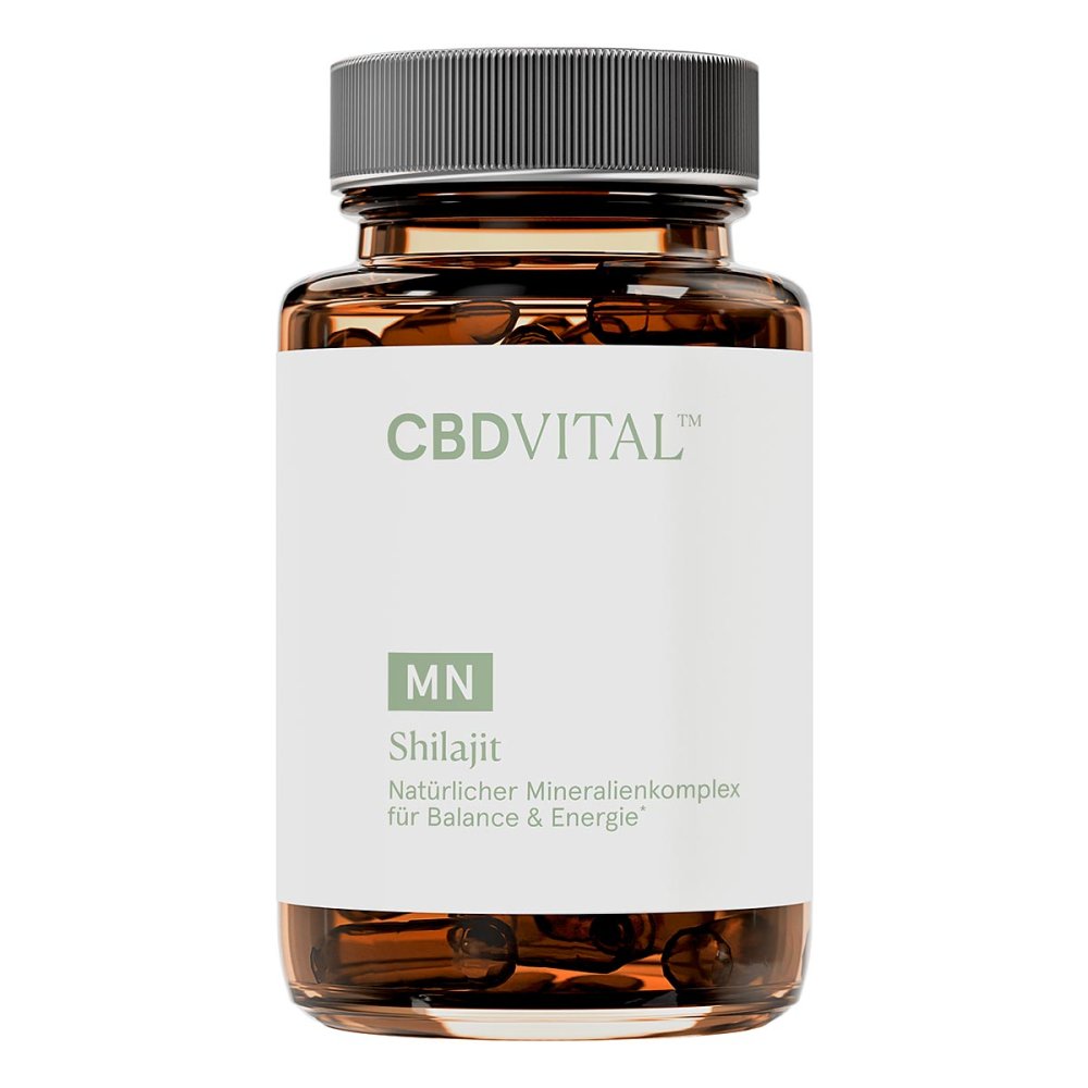CBD VITAL MN Shilajit Kapseln