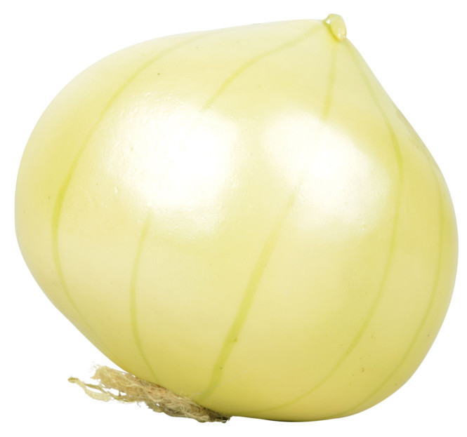 Esschert Design Zwiebel aus Kunststoff, 7,3 x 7,5 x 6,9 cm, Dekoration, Deko-Gemüse, naturgetreues Dekolebensmittel