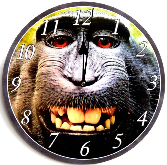 Rivanto® Wanduhr im Affen Design, 30 cm Ø