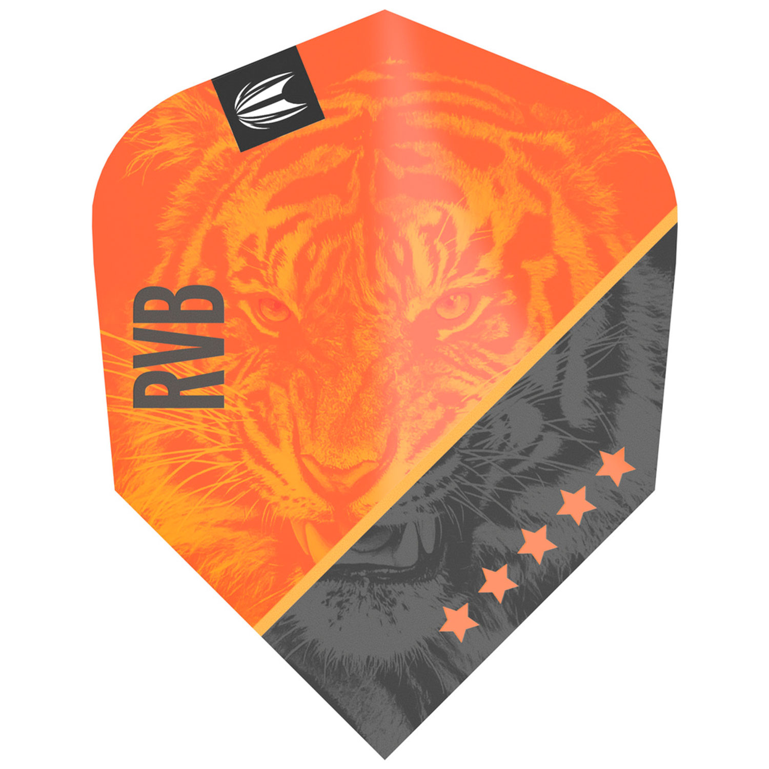 Raymond Van Barneveld Flights Pro Ultra G4 Ten X