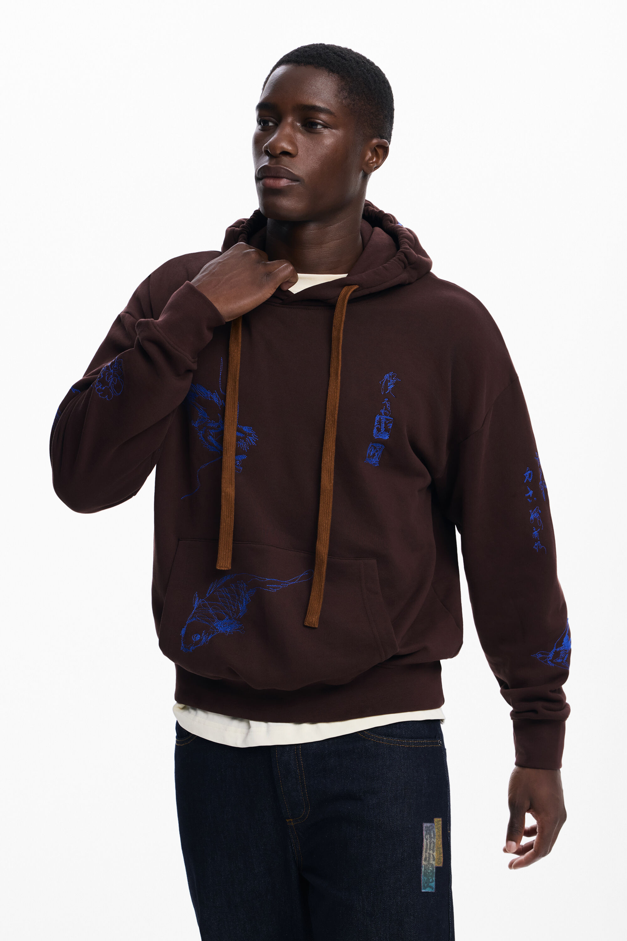 Desigual, Kapuzensweatshirt mit Drachen, Herren, Baumwolle, Braun, S