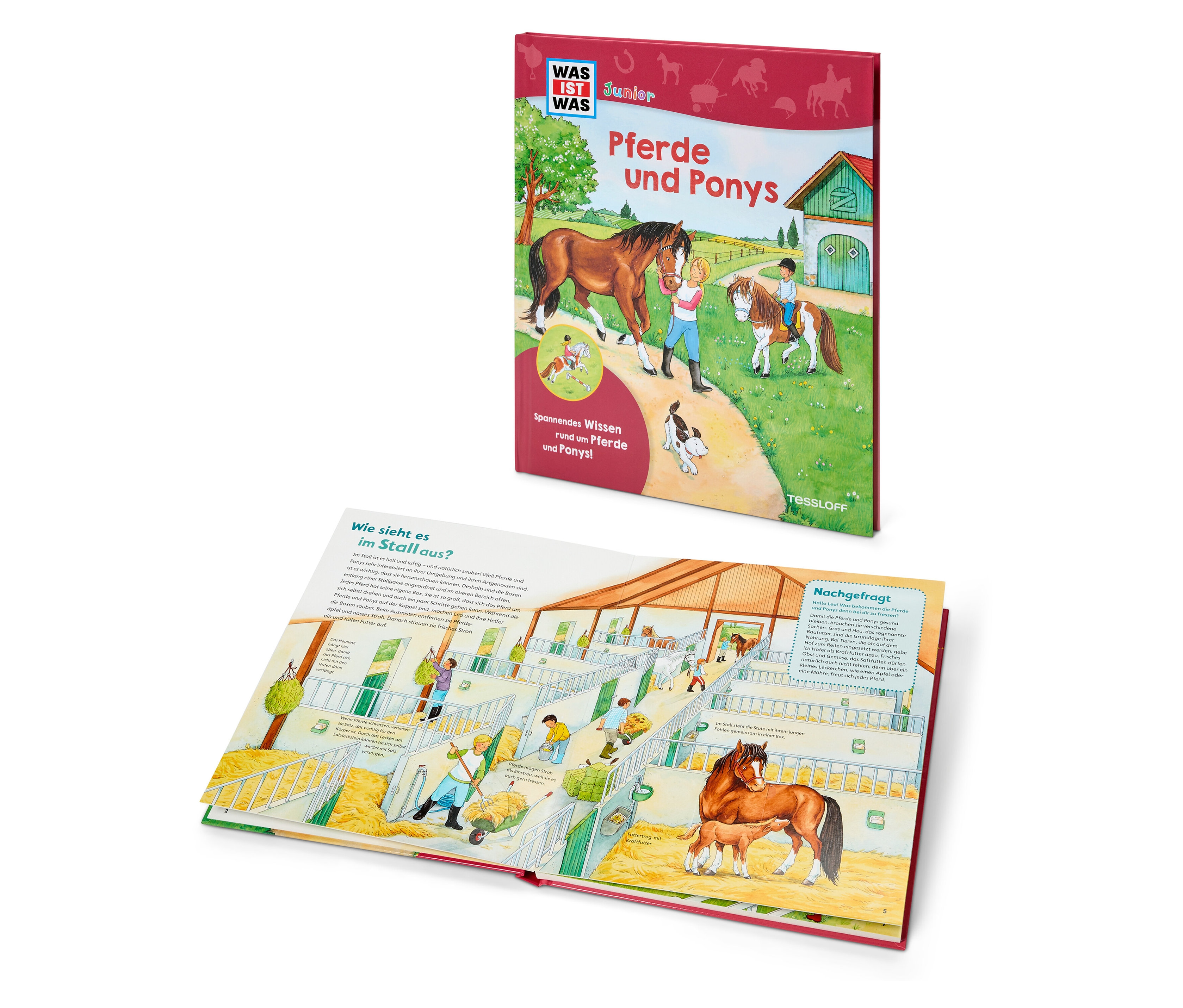 Tchibo - Buch: »Was IST WAS Junior – Pferde und Ponys«