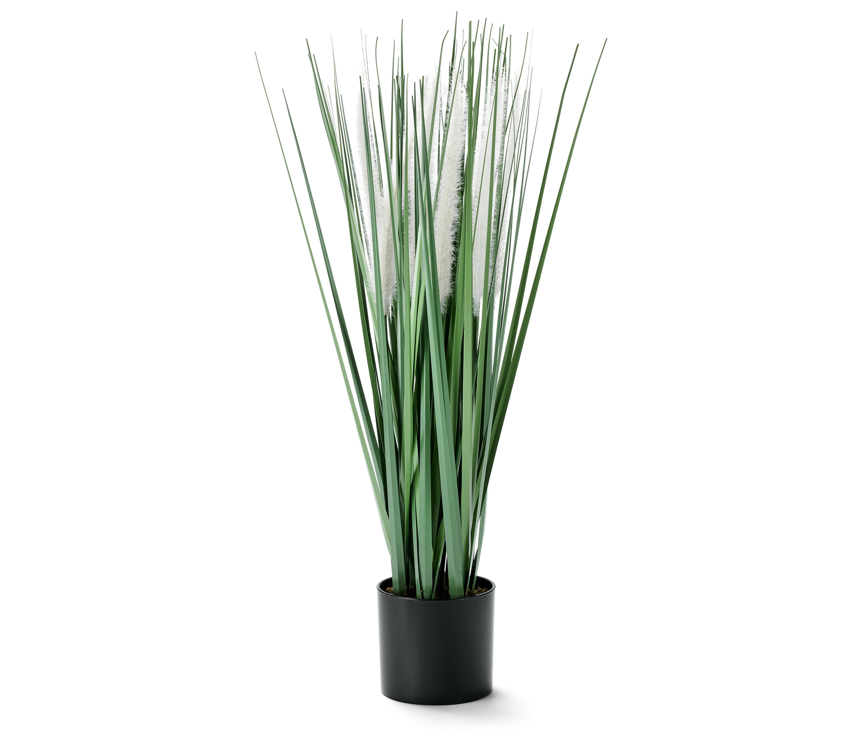 Tchibo - Kunstpflanze »Gräser und Pampas« im Topf - grün