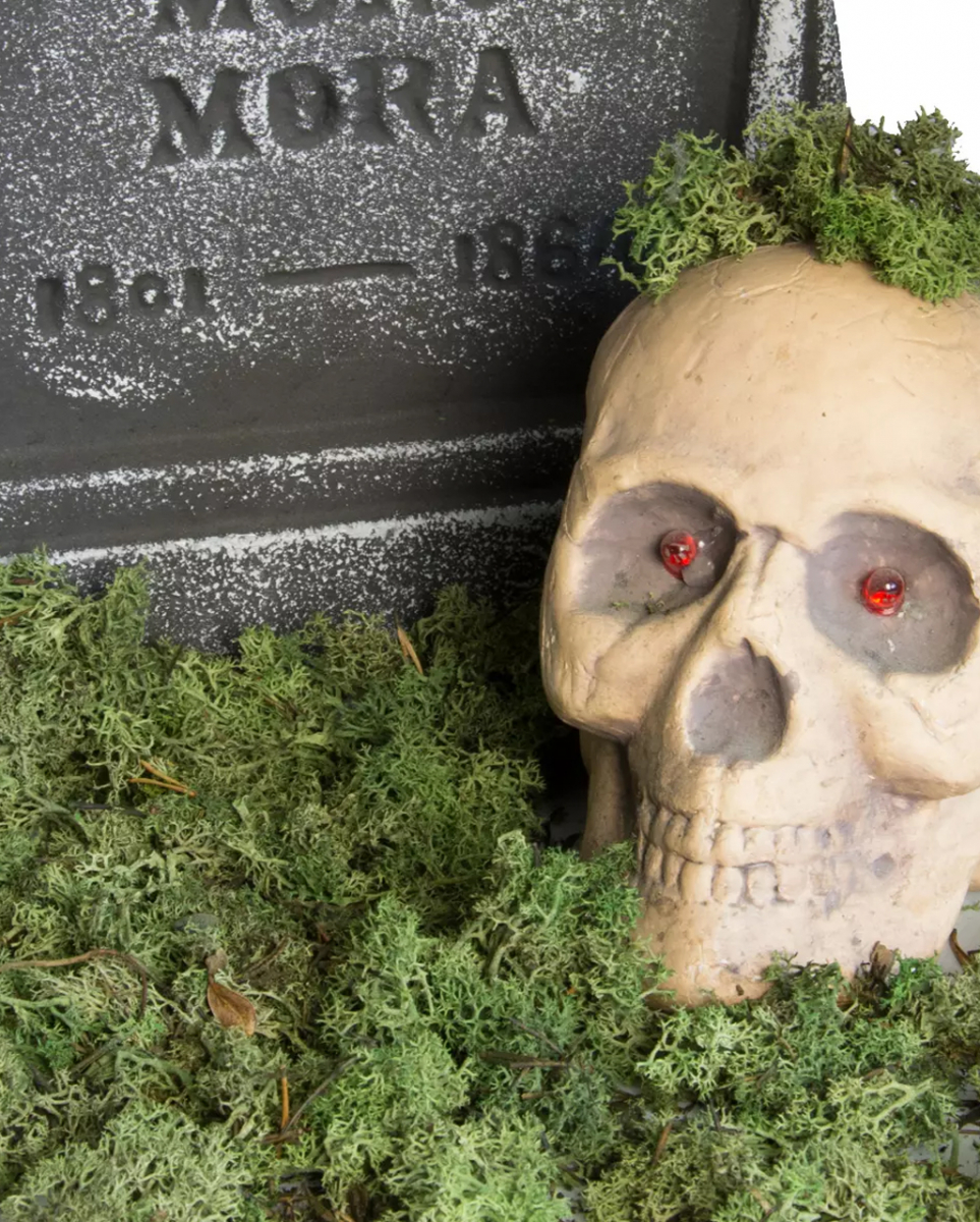 Halloween Deko Moos 30 g