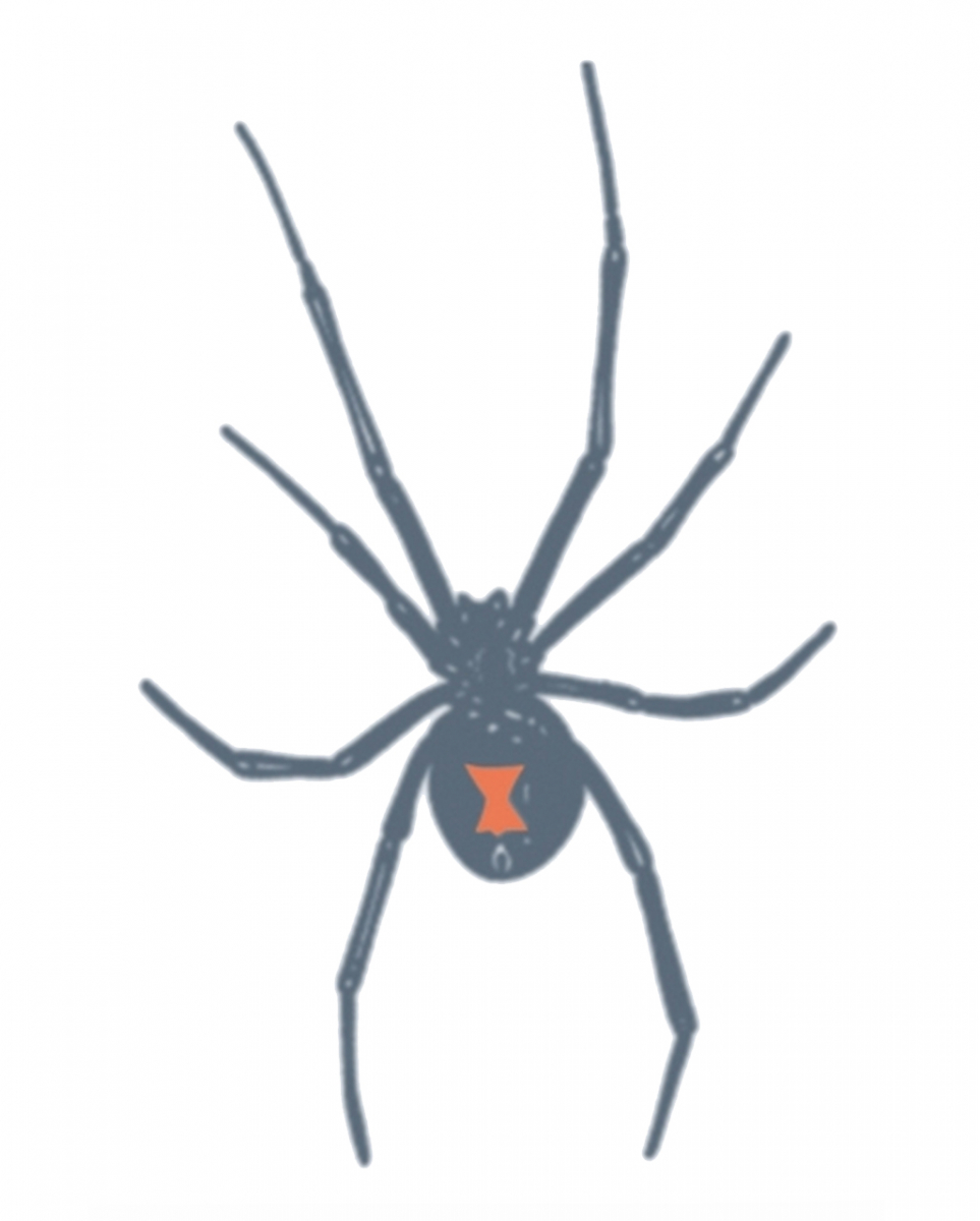 Knast Klebetattoo Schwarze Witwe