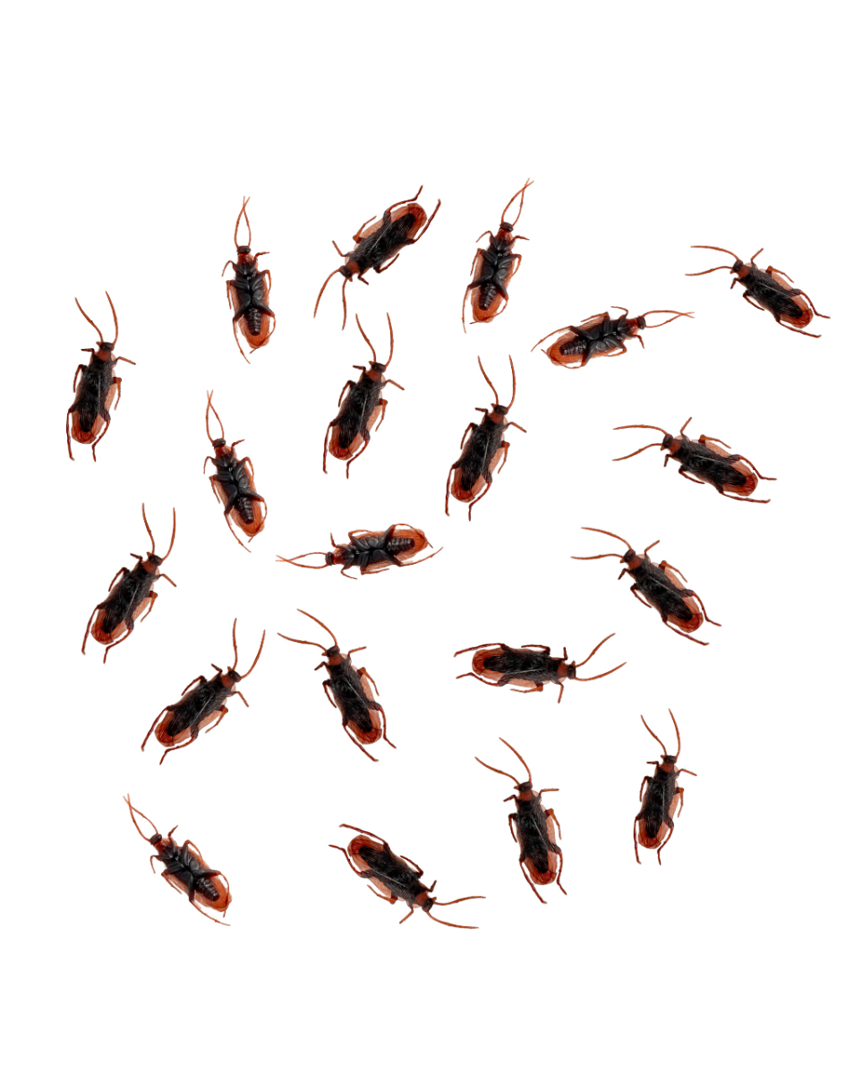 Realistische Kakerlaken aus Vinyl 12 St.