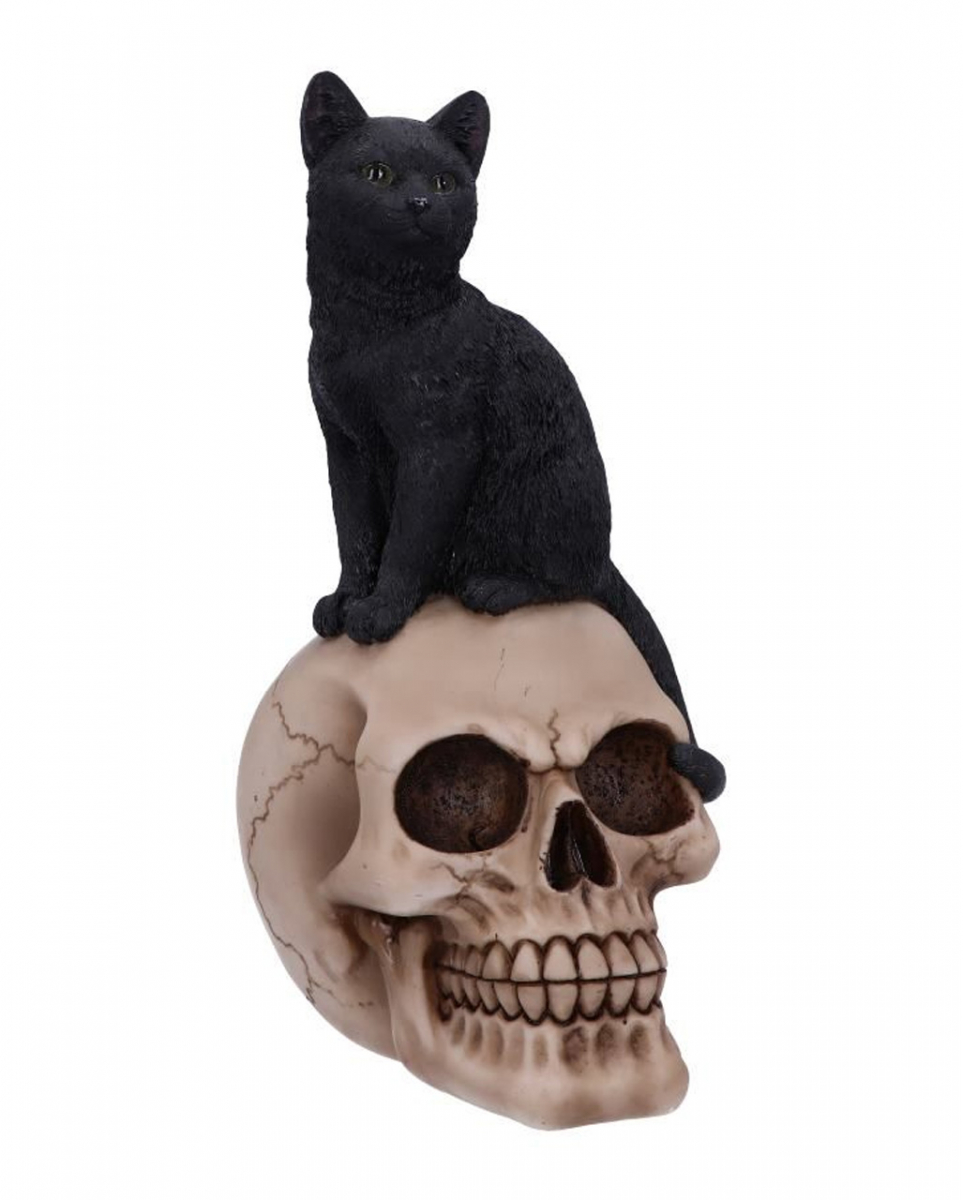 Schwarze Katze auf Totenkopf 24,3cm
