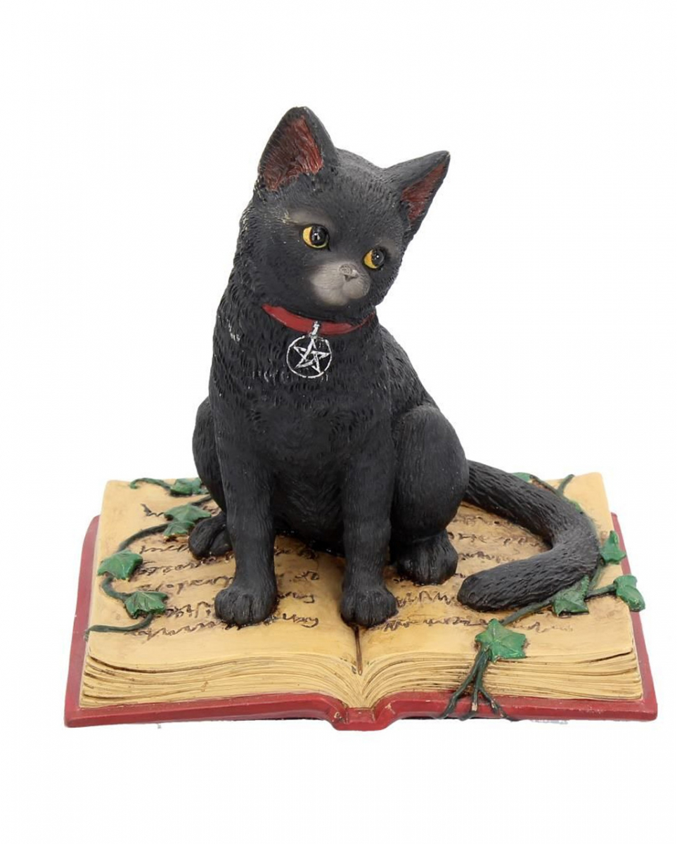 Schwarze Katze mit Hexenbuch