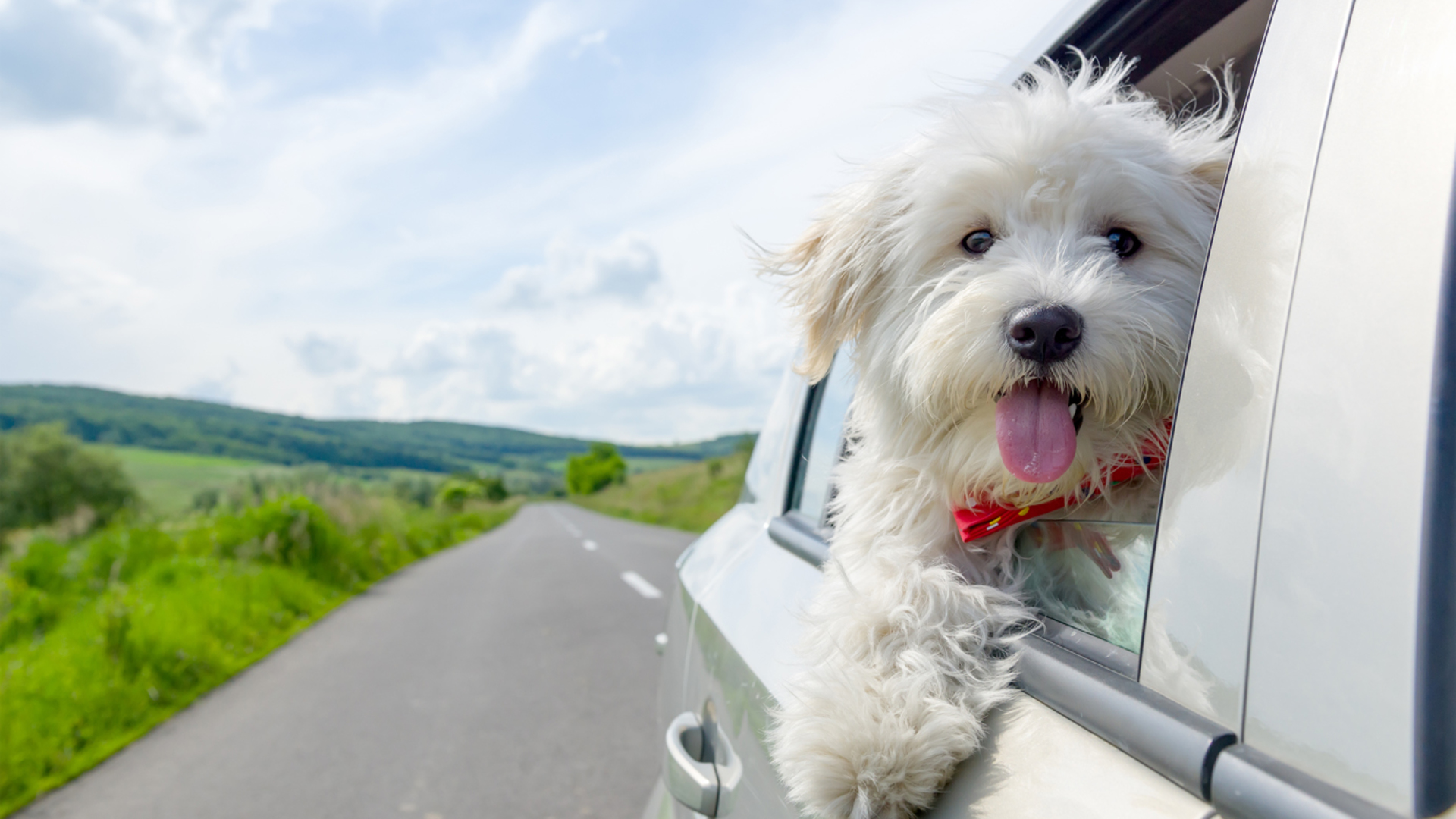 Kurzurlaub mit Hund für 2