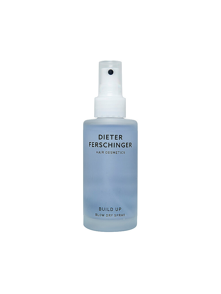 DIETER FERSCHINGER Haarpflege - Build up Blow Dry Spray