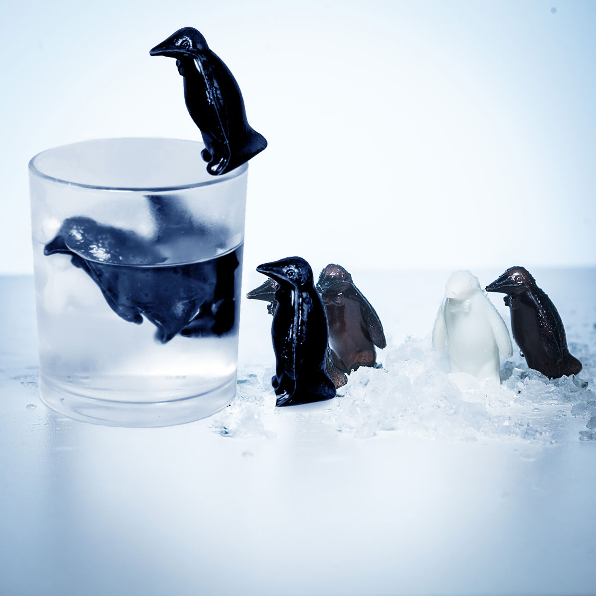 Pinguin Coolers, Weihnachtsgeschenk, Kleine Geschenke, Geschenk, Geschenkidee