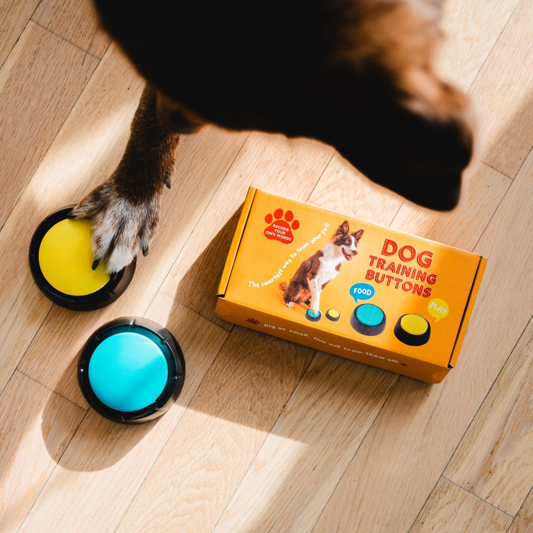 Haustier Training-Buttons, Weihnachtsgeschenk, Romantische Geschenke, Hochzeitsgeschenk, Geschenk, Geschenkidee