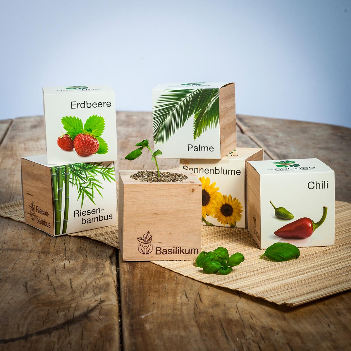 Schokoladenblume - Ecocube Pflanzen im Holzwürfel, tolle Geschenke für Küchenchefs, Fotogeschenk, Witzige Geschenke, Romantische Geschenke, Hochzeitsgeschenk, Kleine Geschenke, Geschenk, Geschenkidee