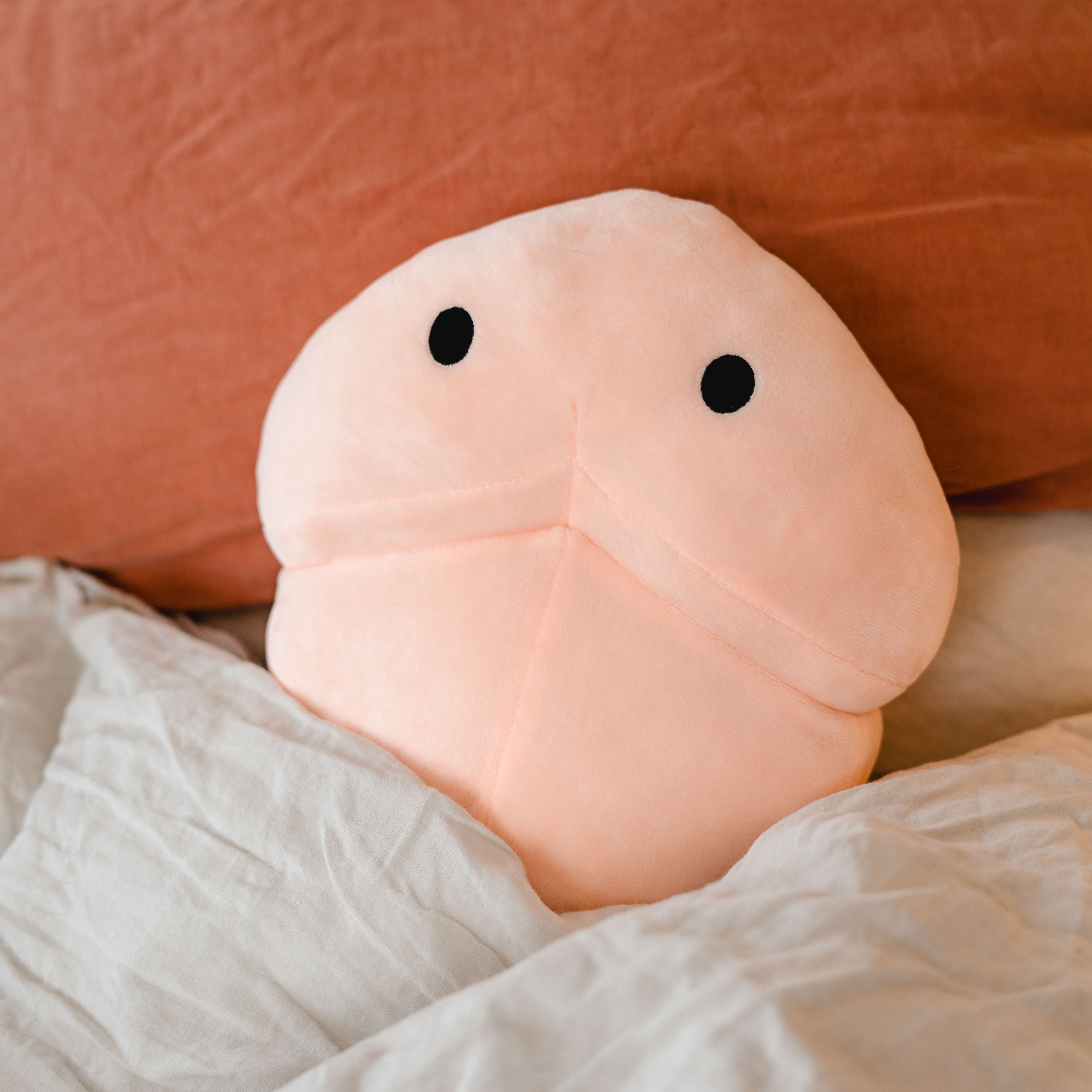 Penis Wärmekissen, Valentinstag Geschenk, Witzige Geschenke, Geschenk, Geschenkidee