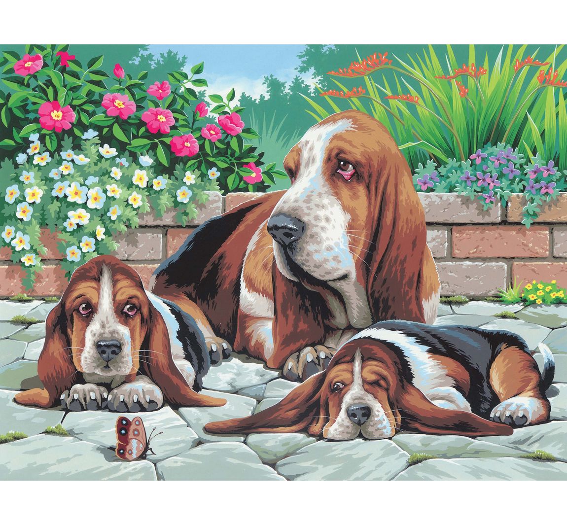 Malen nach Zahlen 'Bassethunde'
